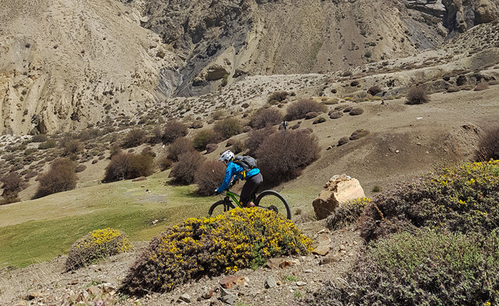 upper-mustang-heli-mountain-bike